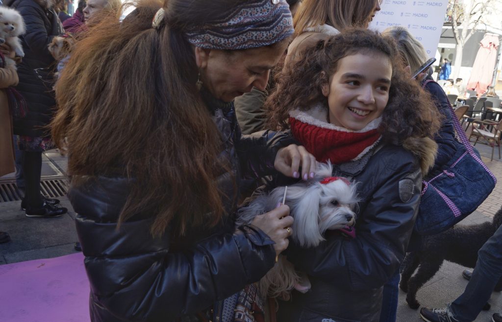 San Antón, amor por los animales en Madrid 13