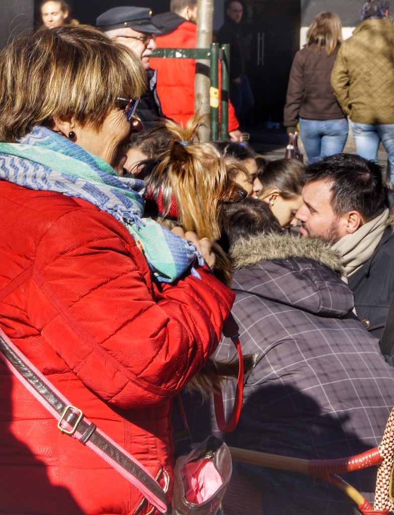 San Antón, amor por los animales en Madrid 126