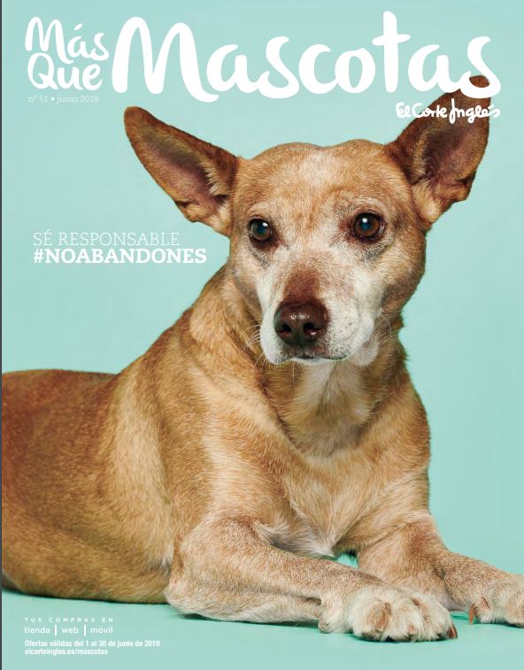 Sé responsable #NoAbandones, nueva campaña contra el abandono de mascotas 1