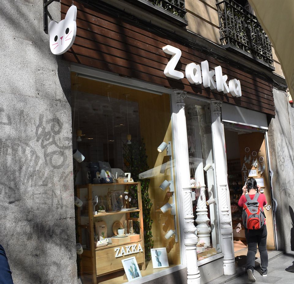 Locura por los cactus en Madrid: cuatro tiendas donde no pincharás 11