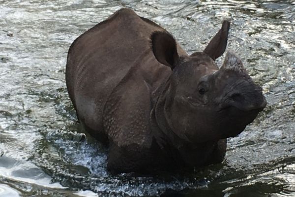 El tradicional Belén de Tiburones inaugura la Navidad en Zoo Aquarium 1