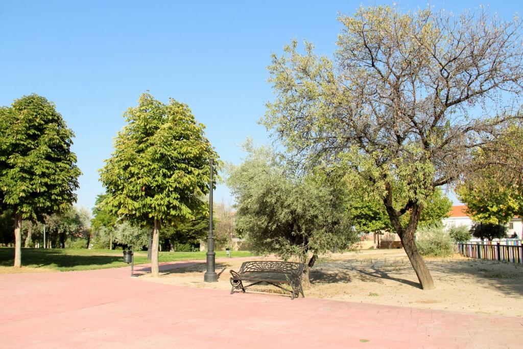 Arganda del Rey planta un árbol por cada niño nacido en 2020 4