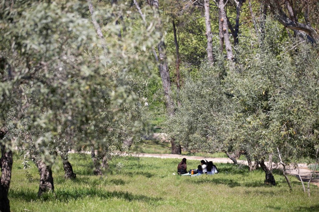 La primavera y el verano de Madrid a través de sus parques 14