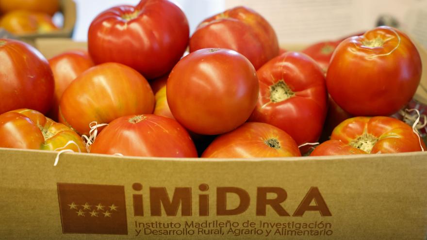 Así será la Primera semana del Tomate Tradicional de Madrid 8