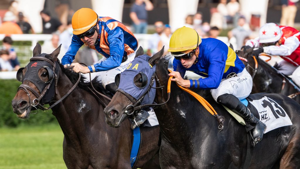 El Hipódromo de Madrid celebra su 80 Aniversario con una jornada única 2