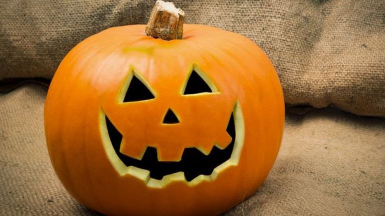 Ciempozuelos celebrará Halloween con dos 2 escalofriantes actividades