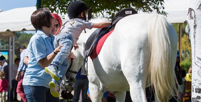 Madrid con niños: planes para un fin de semana en familia 9