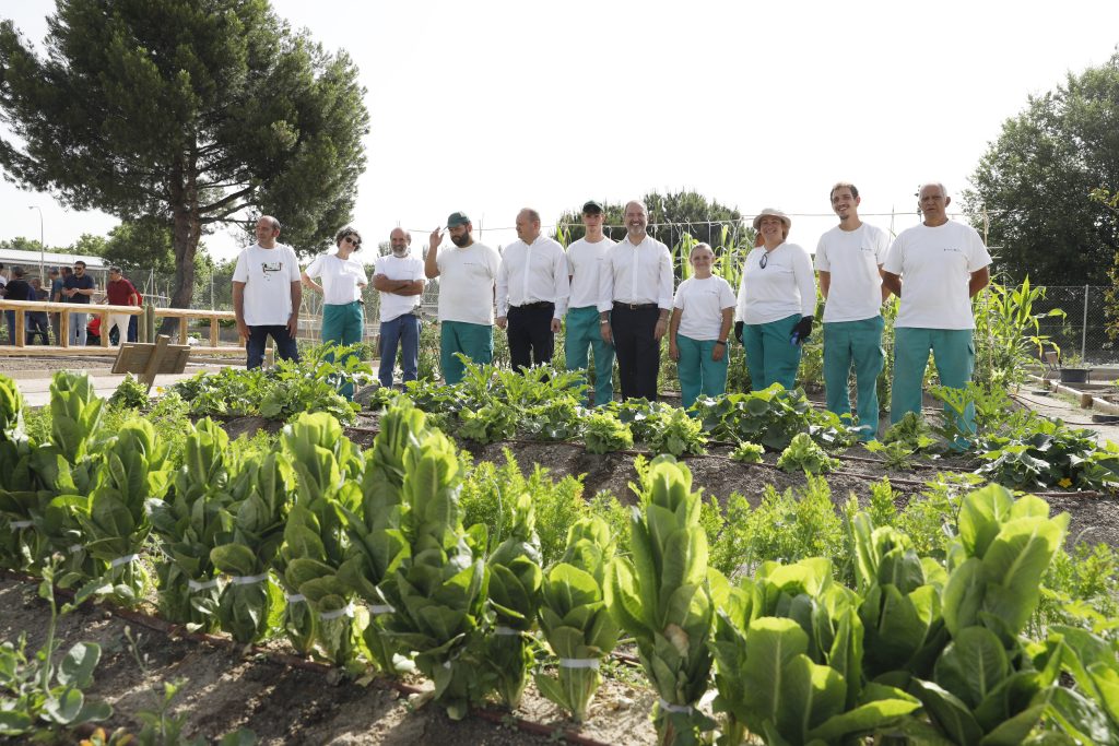 Barrios Productores: El plan del Ayuntamiento para fomentar la producción agrícola y la economía local 1