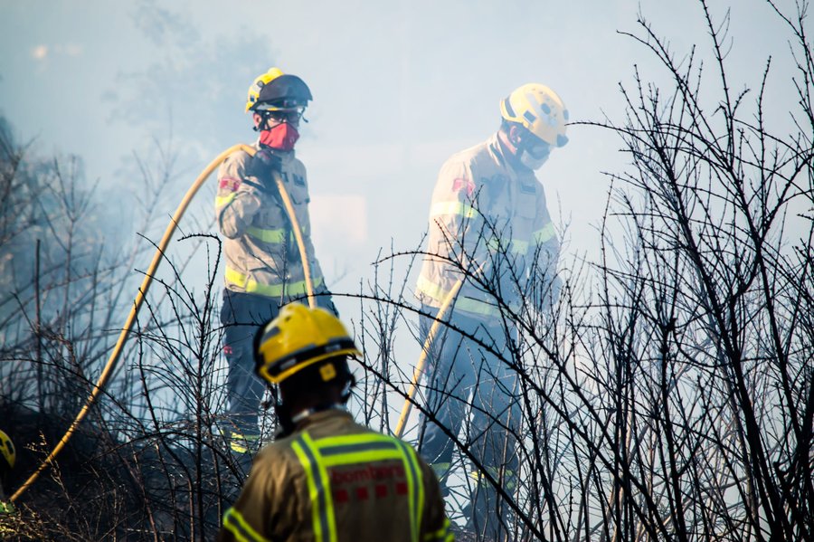 La Comunidad constituye el Comité Interdepartamental para la lucha contra incendios 8