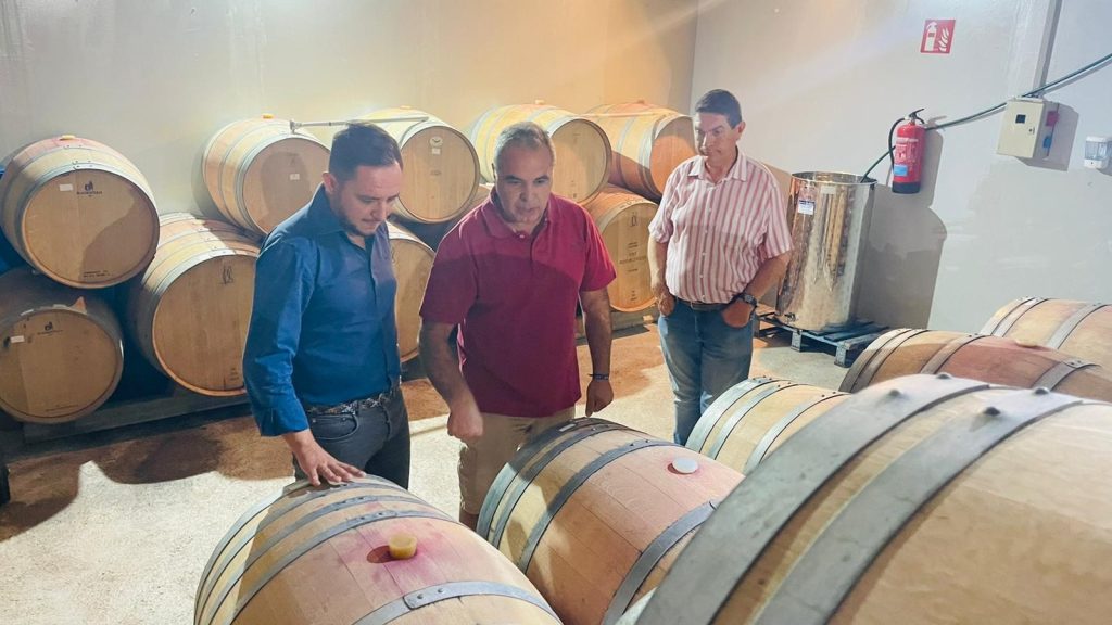Los vinos madrileños mejorarán su calidad gracias a la investigación de la uva autóctona 2