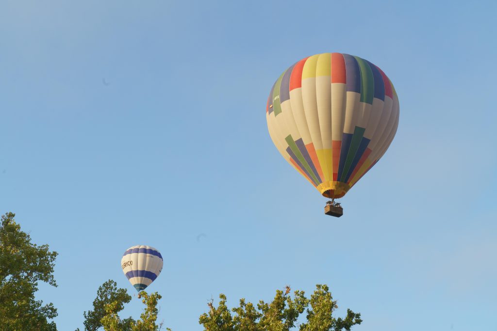 Aranjuez a vista de globo 9