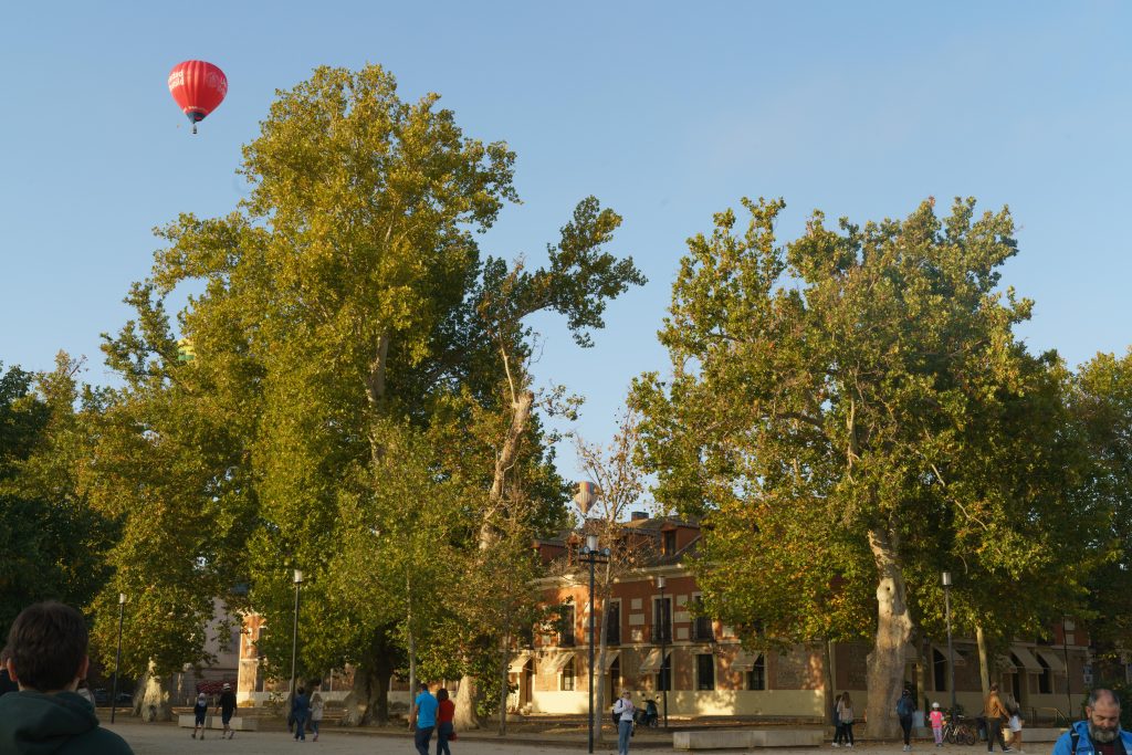 Aranjuez a vista de globo 11