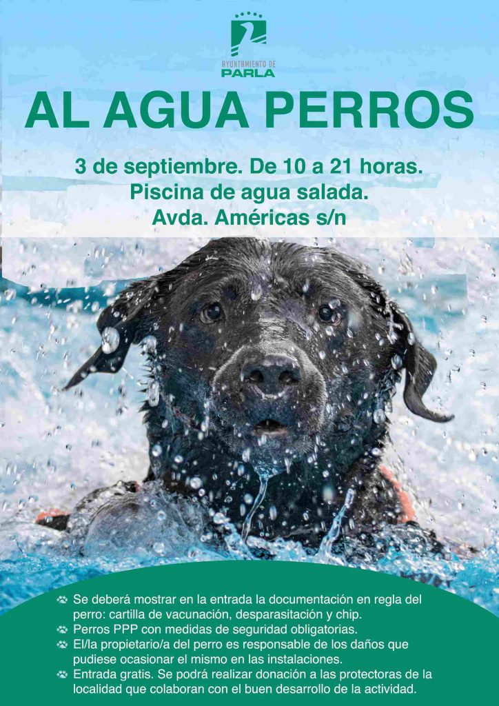 Vuelve 'Al agua perros' en la piscina salada de Parla 7