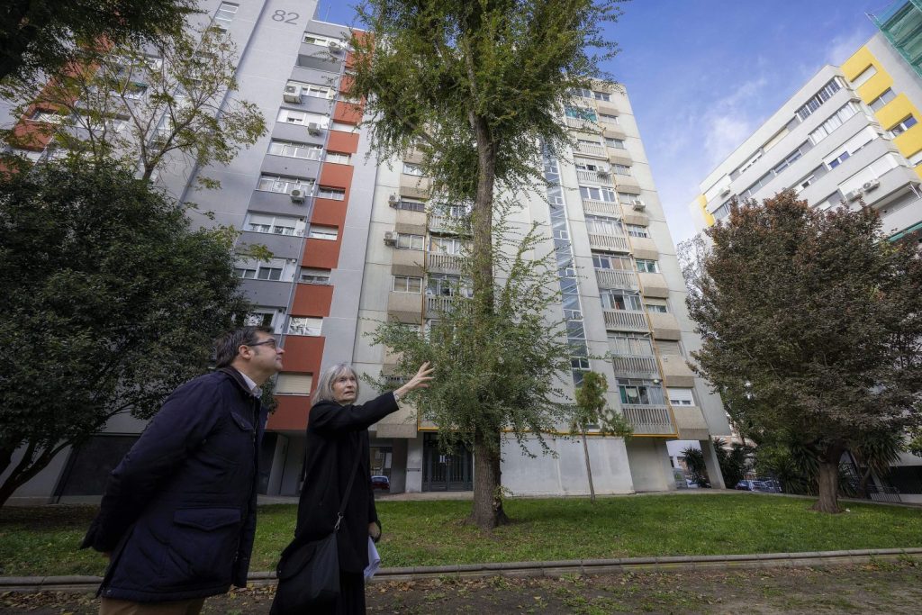 Así será el primer barrio ecosolar de Madrid 1